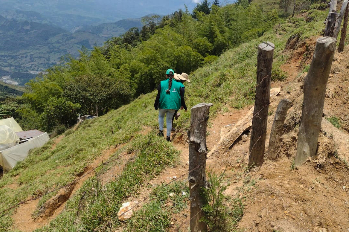 Diseño sin título (15)