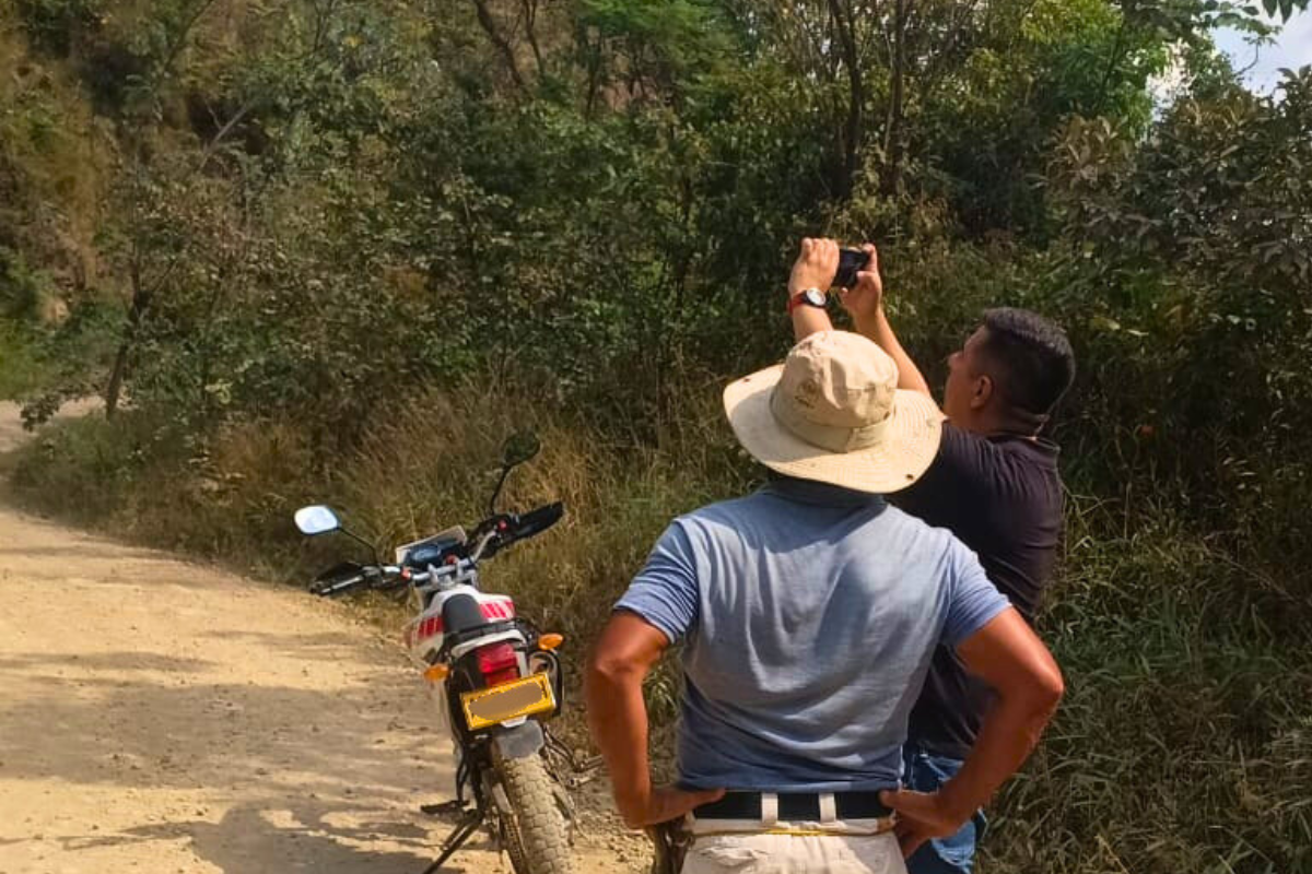 Diseño sin título (16)