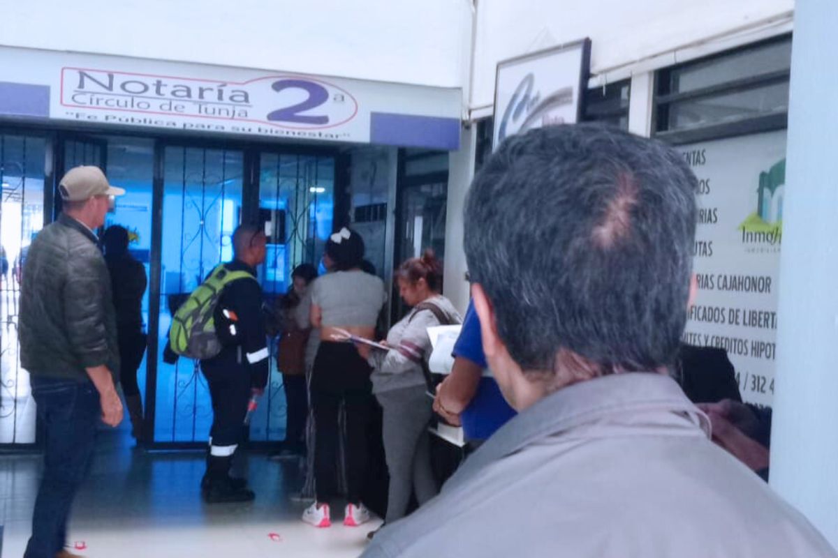 Diseño sin título (6)